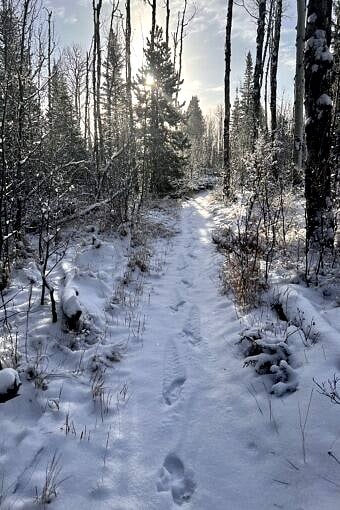 Nine Favorite Things | halfbakedharvest.com