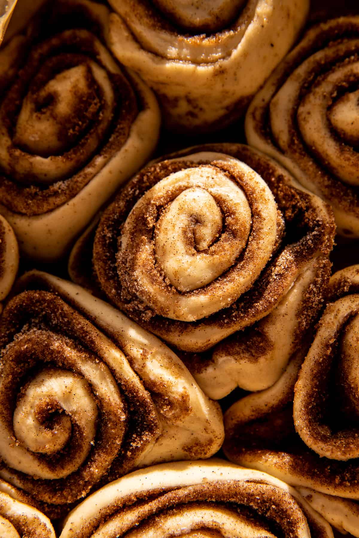 Fluffy Christmas Cinnamon Rolls with Caramel Cream Cheese Icing | halfbakedharvest.com