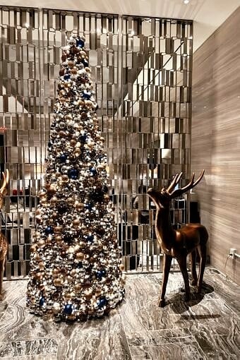 Nine Favorite Things | halfbakedharvest.com