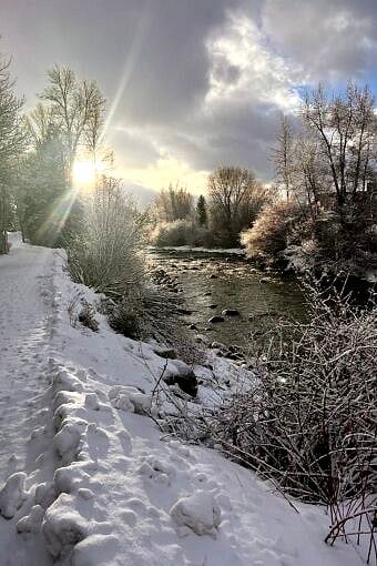 Nine Favorite Things | halfbakedharvest.com