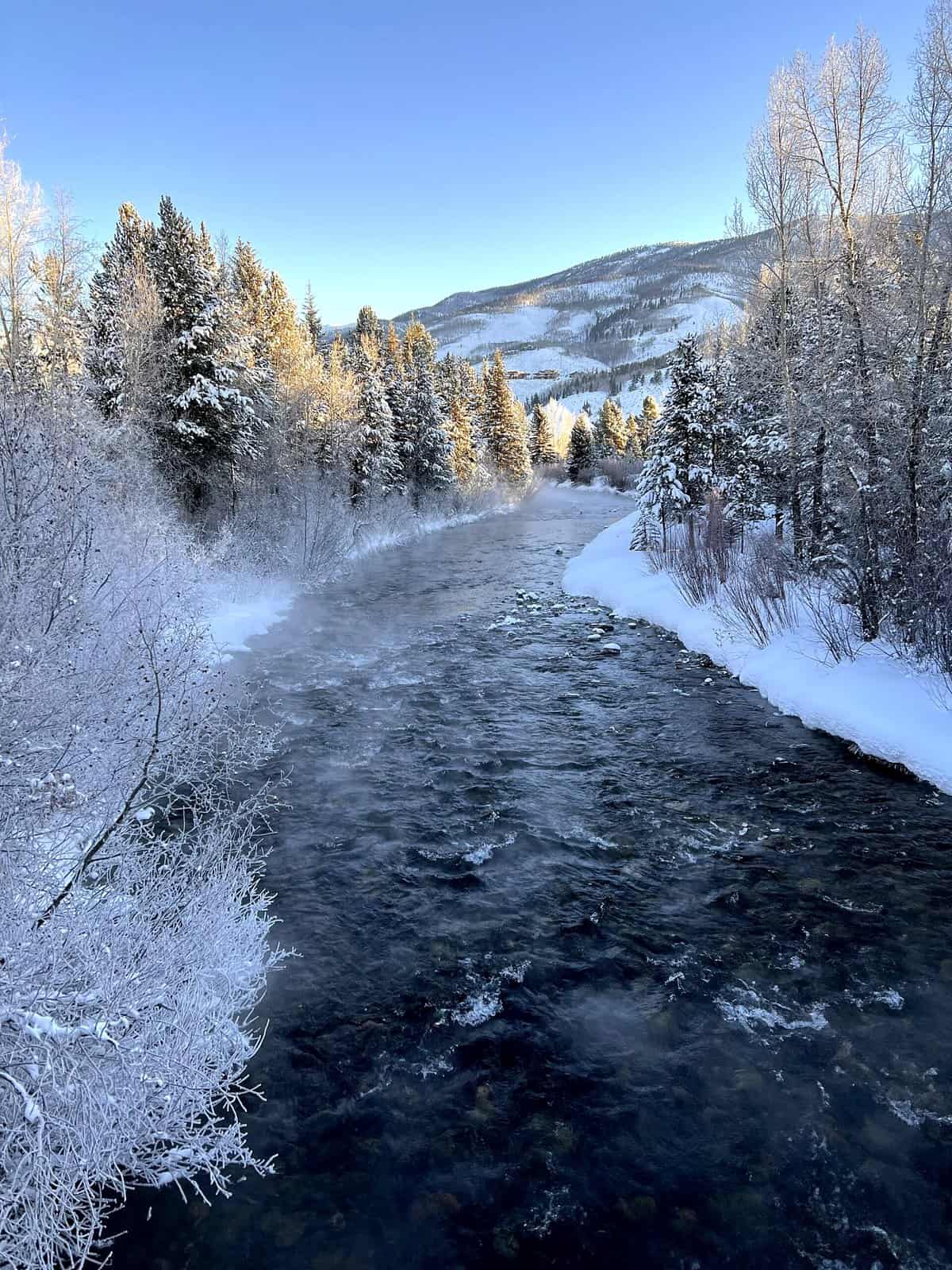 Nine Favorite Things | halfbakedharvest.com