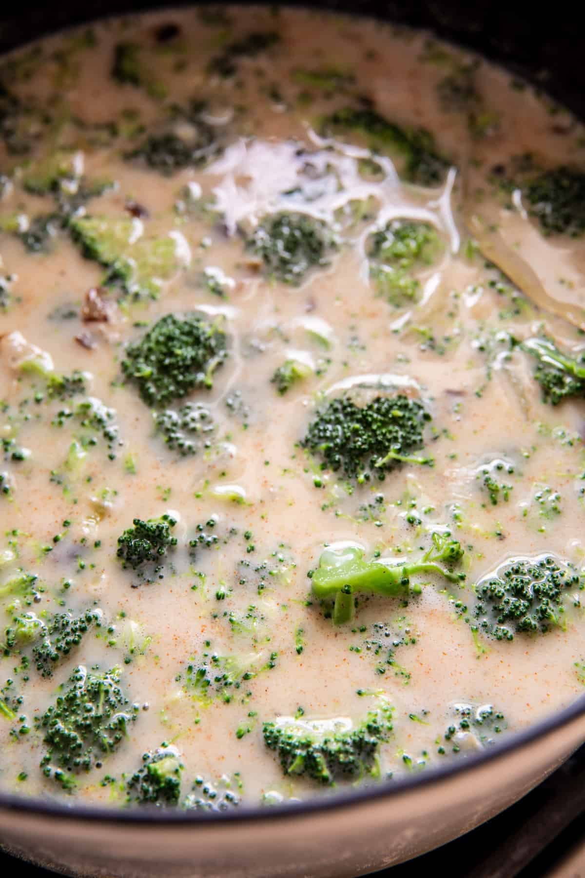 Broccoli Cheddar Noodle Soup | halfbakedharvest.com