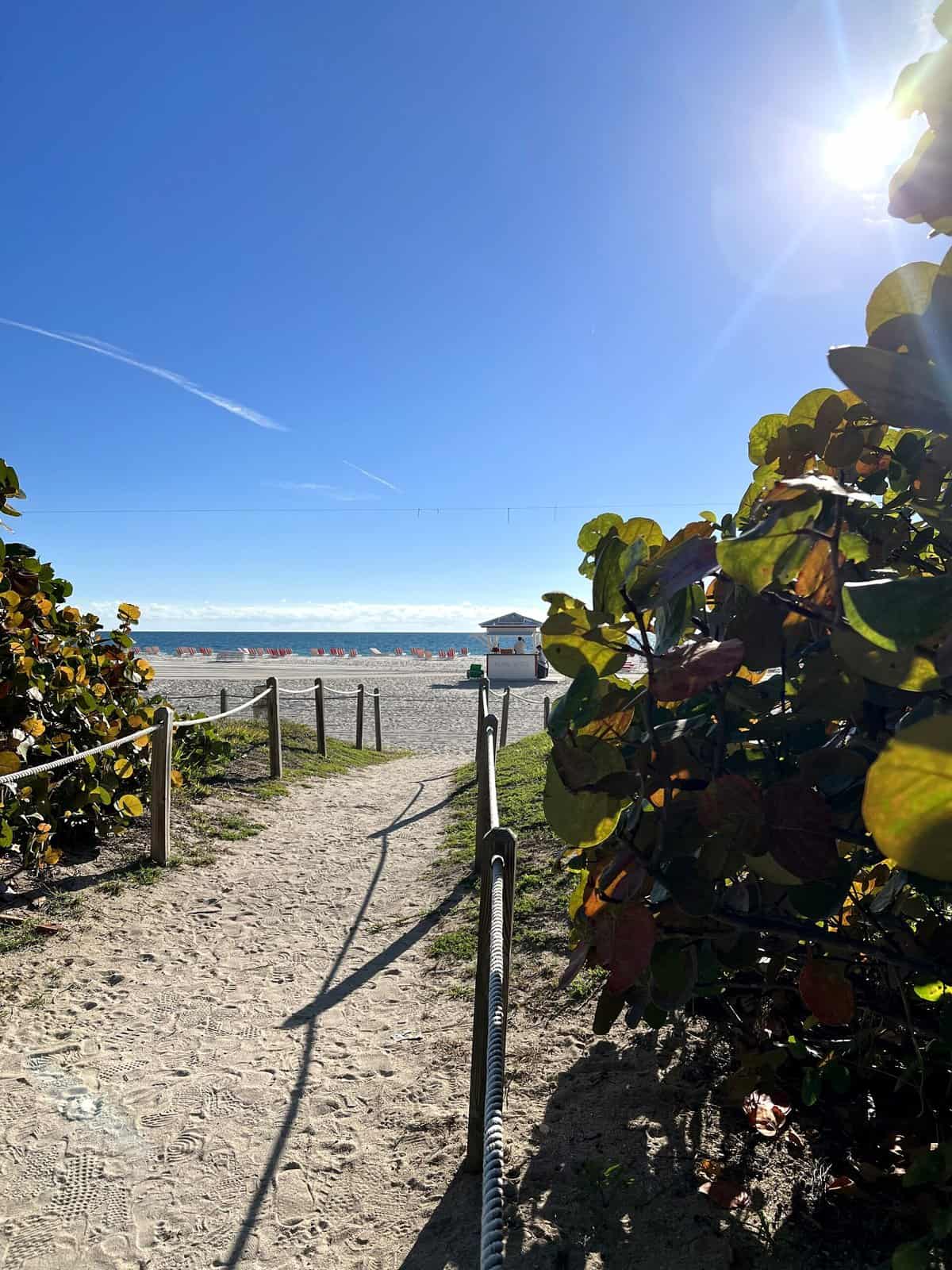 Nine Favorite Things | halfbakedharvest.com