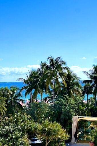 Nine Favorite Things | halfbakedharvest.com