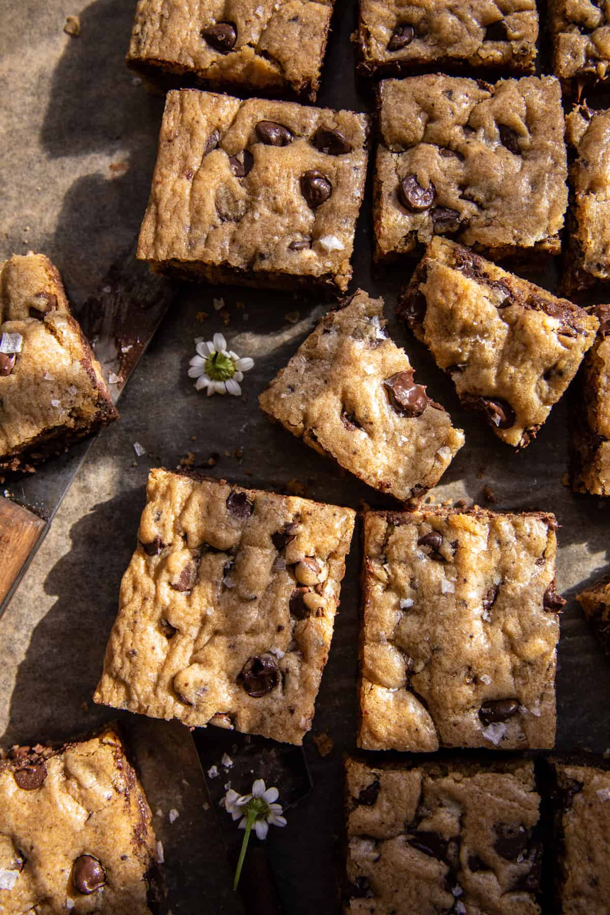 Coffee Chocolate Chip Blondies | halfbakedharvest.com