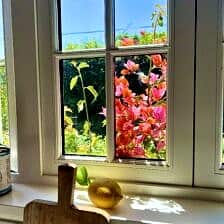 Nine Favorite Things | halfbakedharvest.com