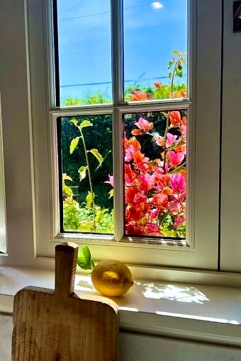 Nine Favorite Things | halfbakedharvest.com