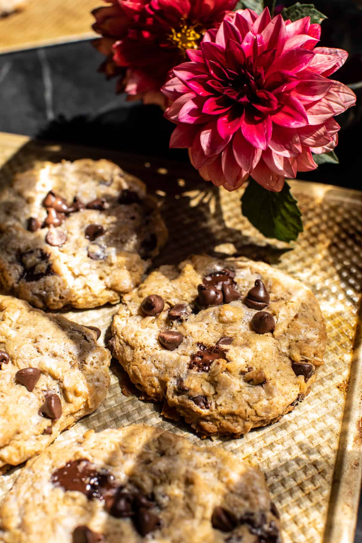 Giant Magic Oatmeal Chocolate Chip Cookies | halfbakedharvest.com