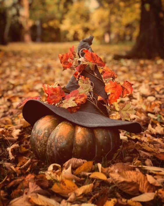 Nine Favorite Things