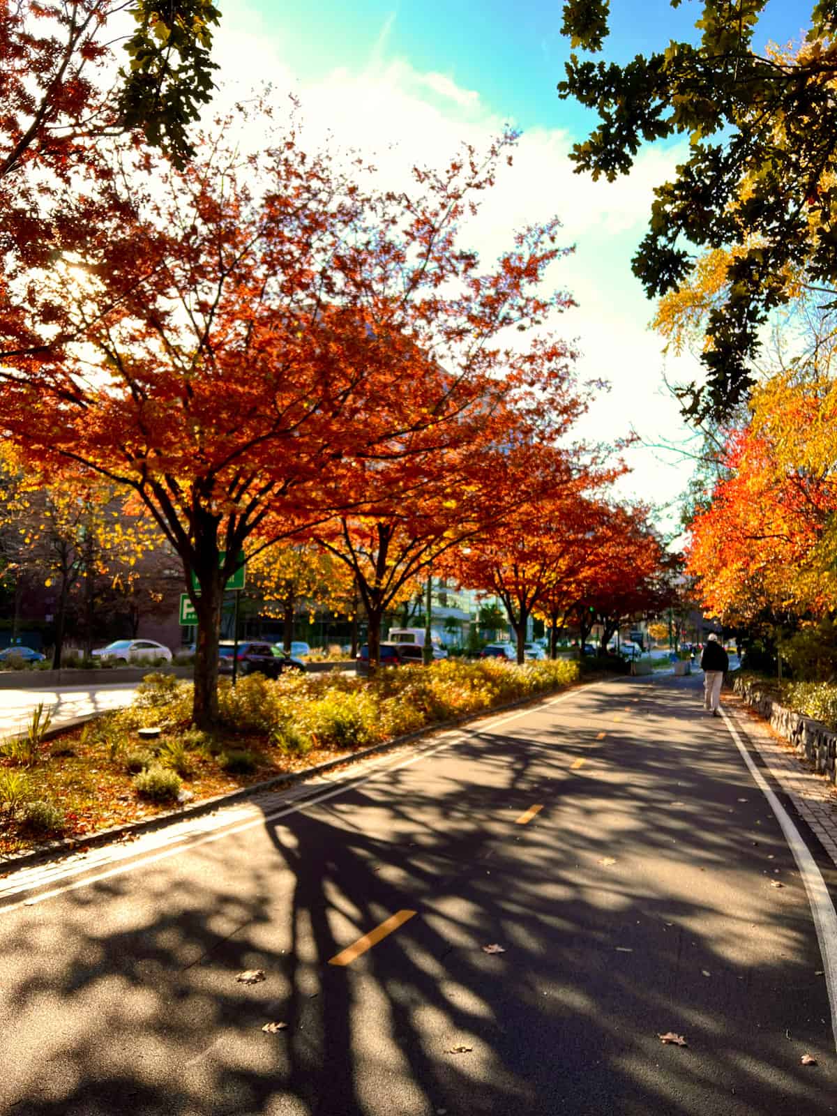 Nine Favorite Things | halfbakedharvest.com