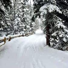 Nine Favorite Things | halfbakedharvest.com