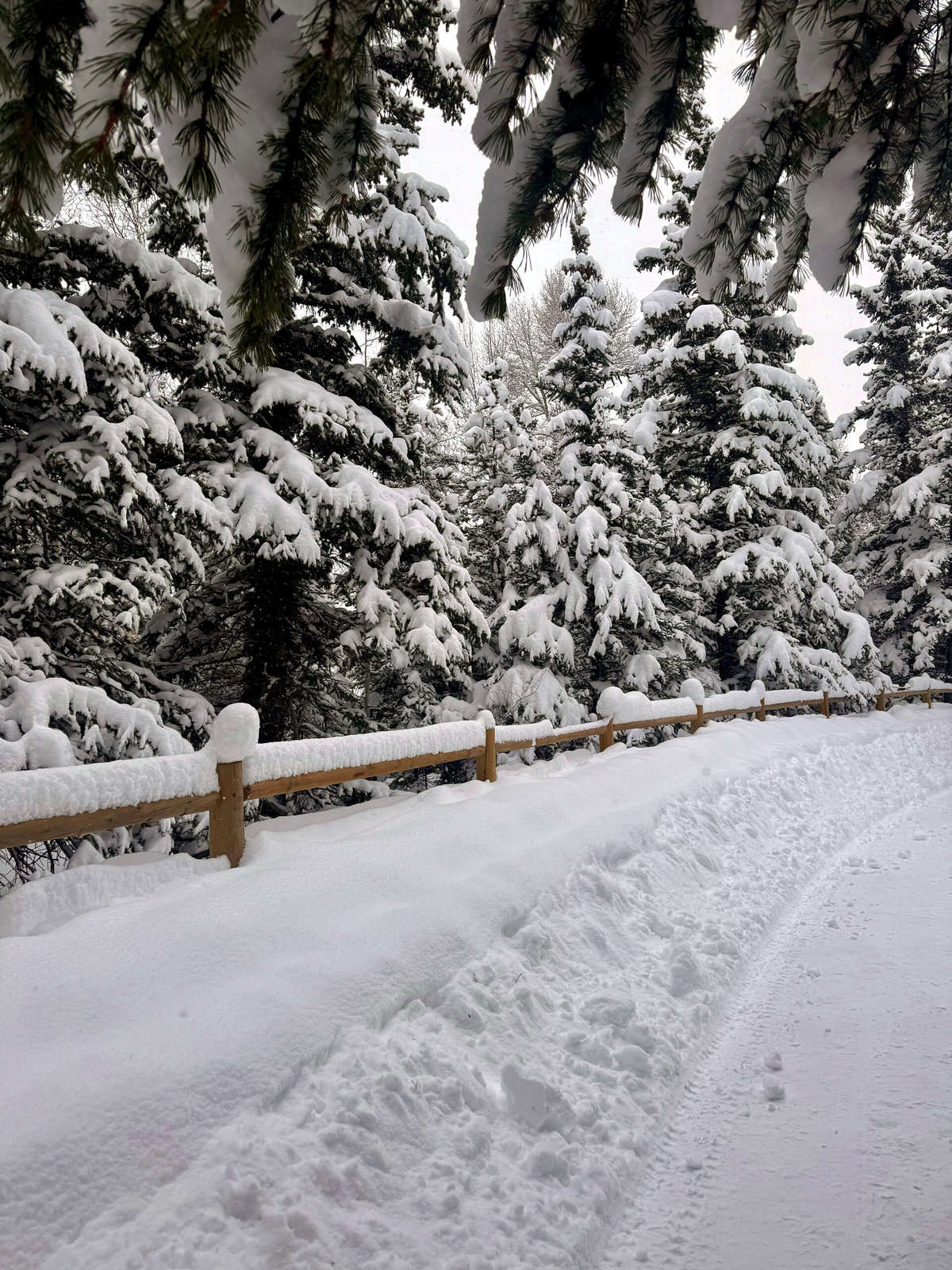 Nine Favorite Things | halfbakedharvest.com