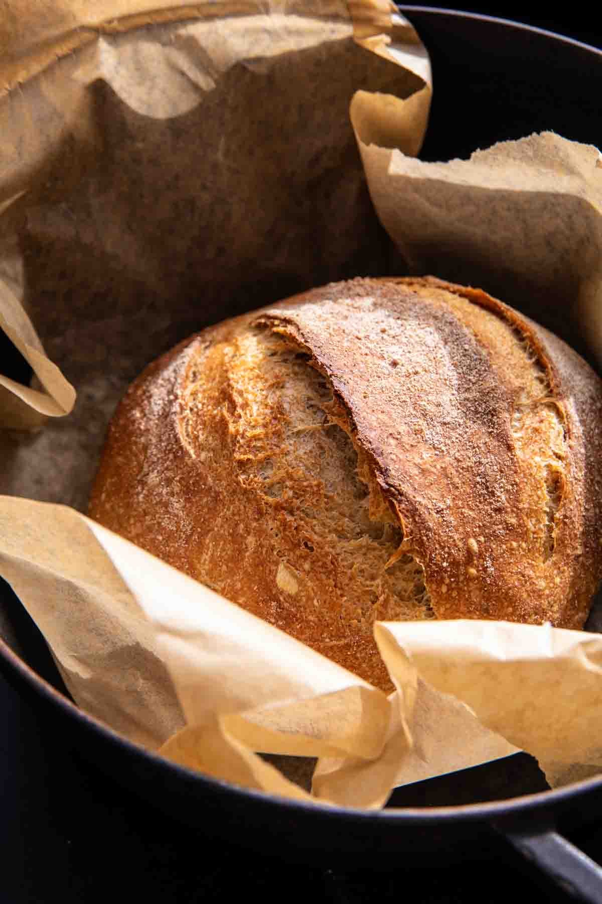The Best (easiest) No Knead Bread | halfbakedharvest.com