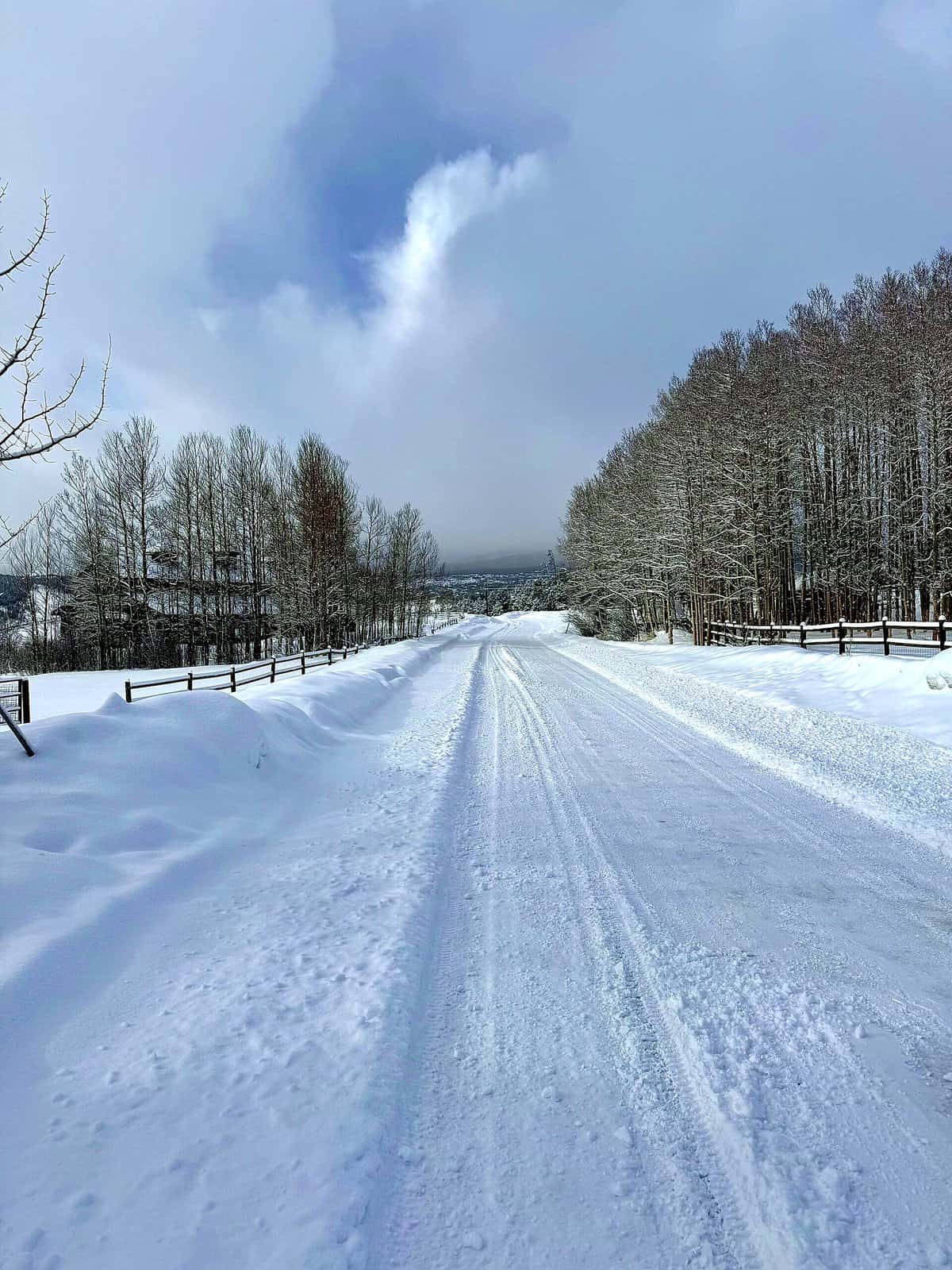 Nine Favorite Things