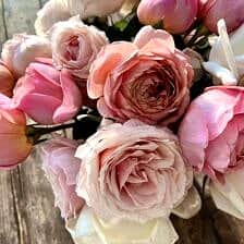 Nine Favorite Things