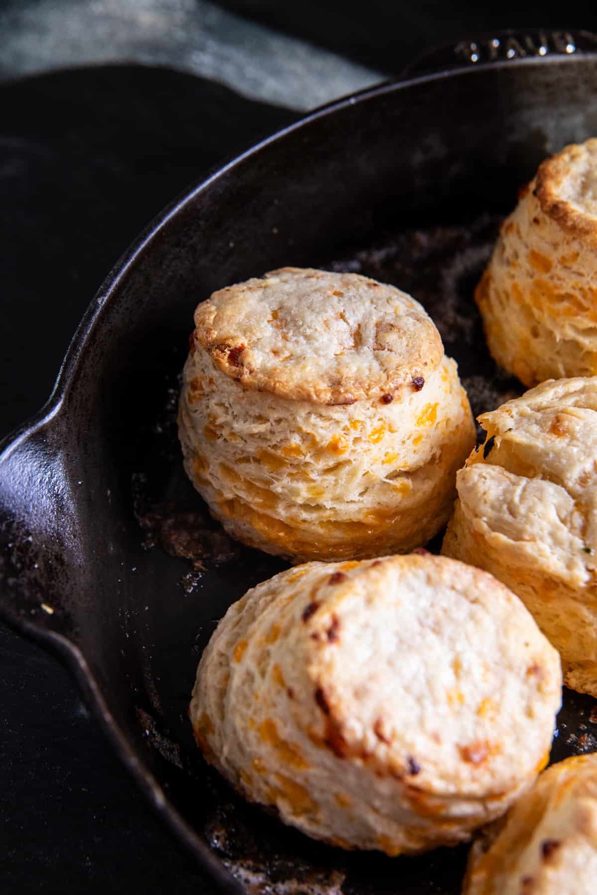 Homemade Honey Butter Cheddar Biscuits | halfbakedharvest.com