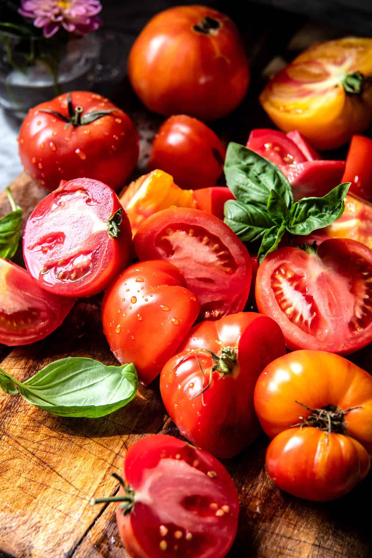Stuffed Creamy Tomato Basil Pasta Shells | halfbakedharvest.com