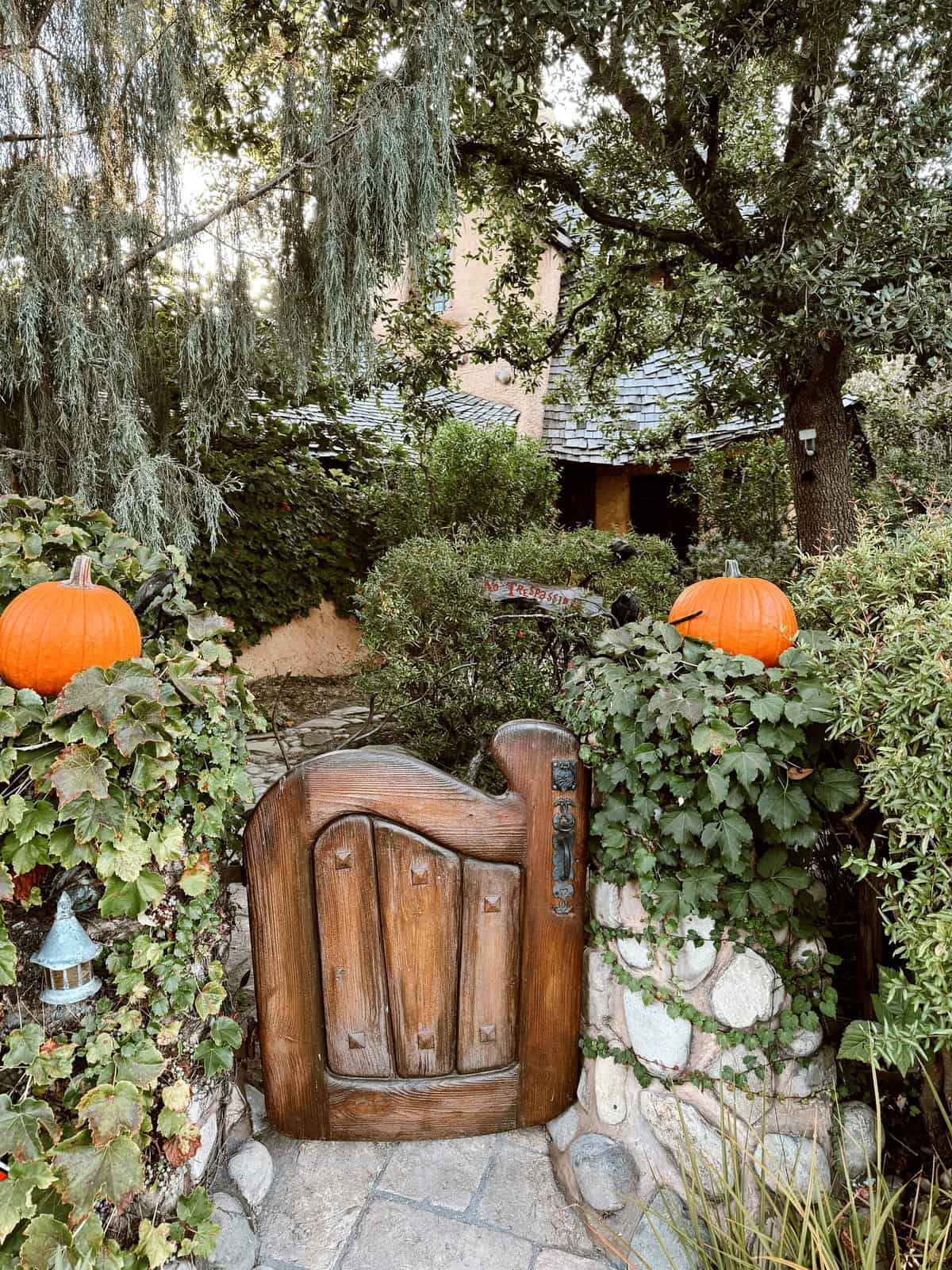 nine favorite things 