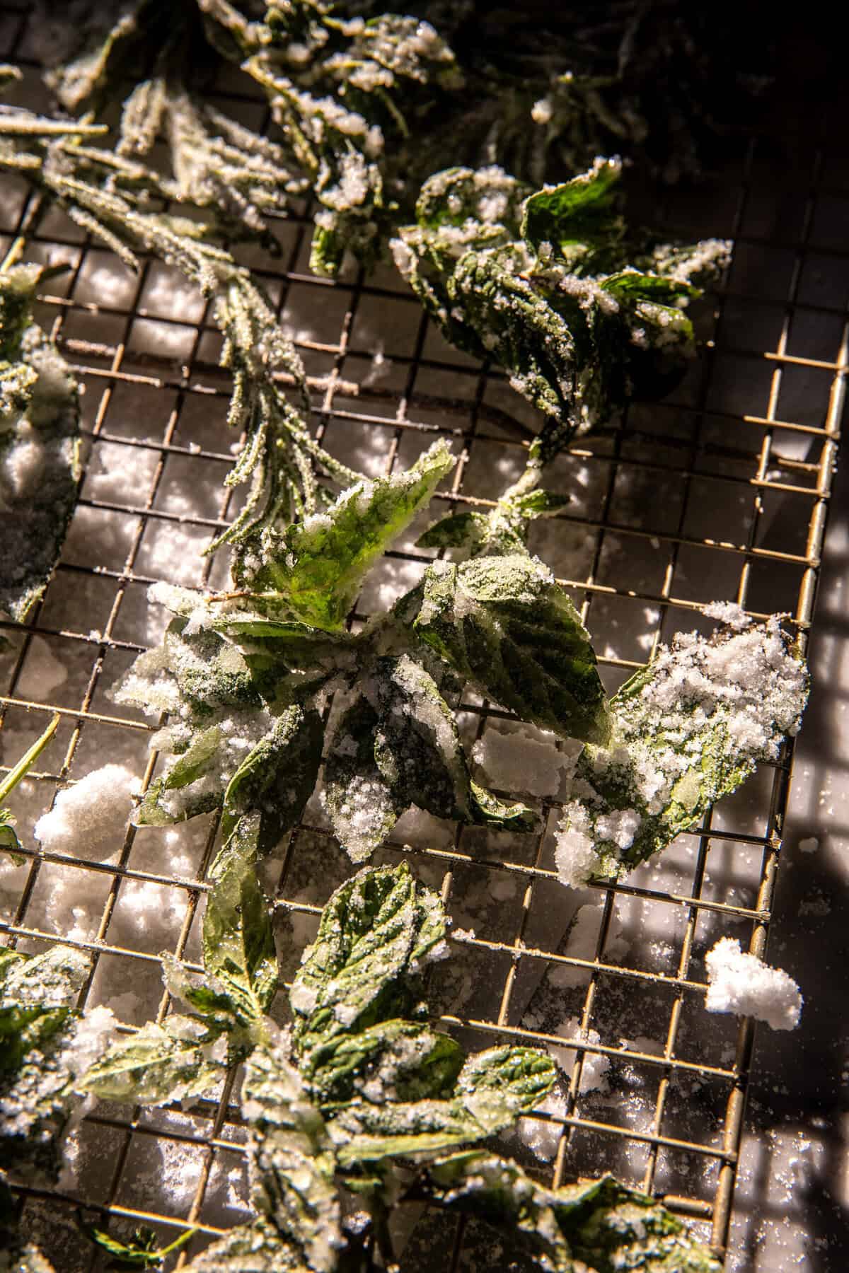 Spicy Ginger Pomegranate Moscow Mule | halfbakedharvest.com