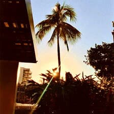 Nine Favorite Things | halfbakedharvest.com