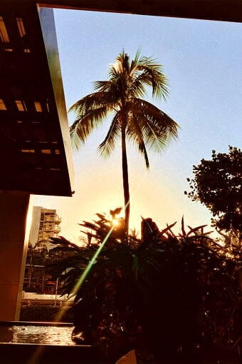 Nine Favorite Things | halfbakedharvest.com