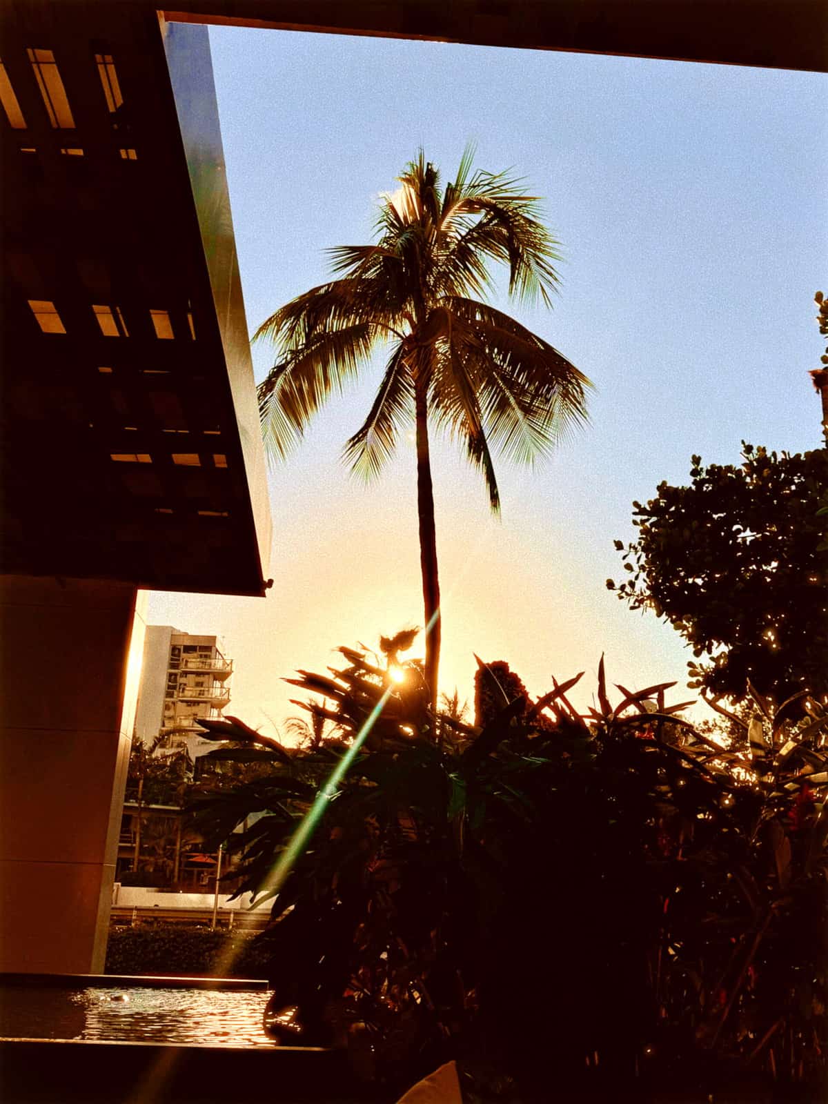 Nine Favorite Things | halfbakedharvest.com