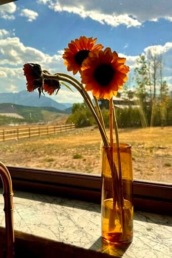 Nine Favorite Things | halfbakedharvest.com