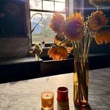 Nine Favorite Things | halfbakedharvest.com