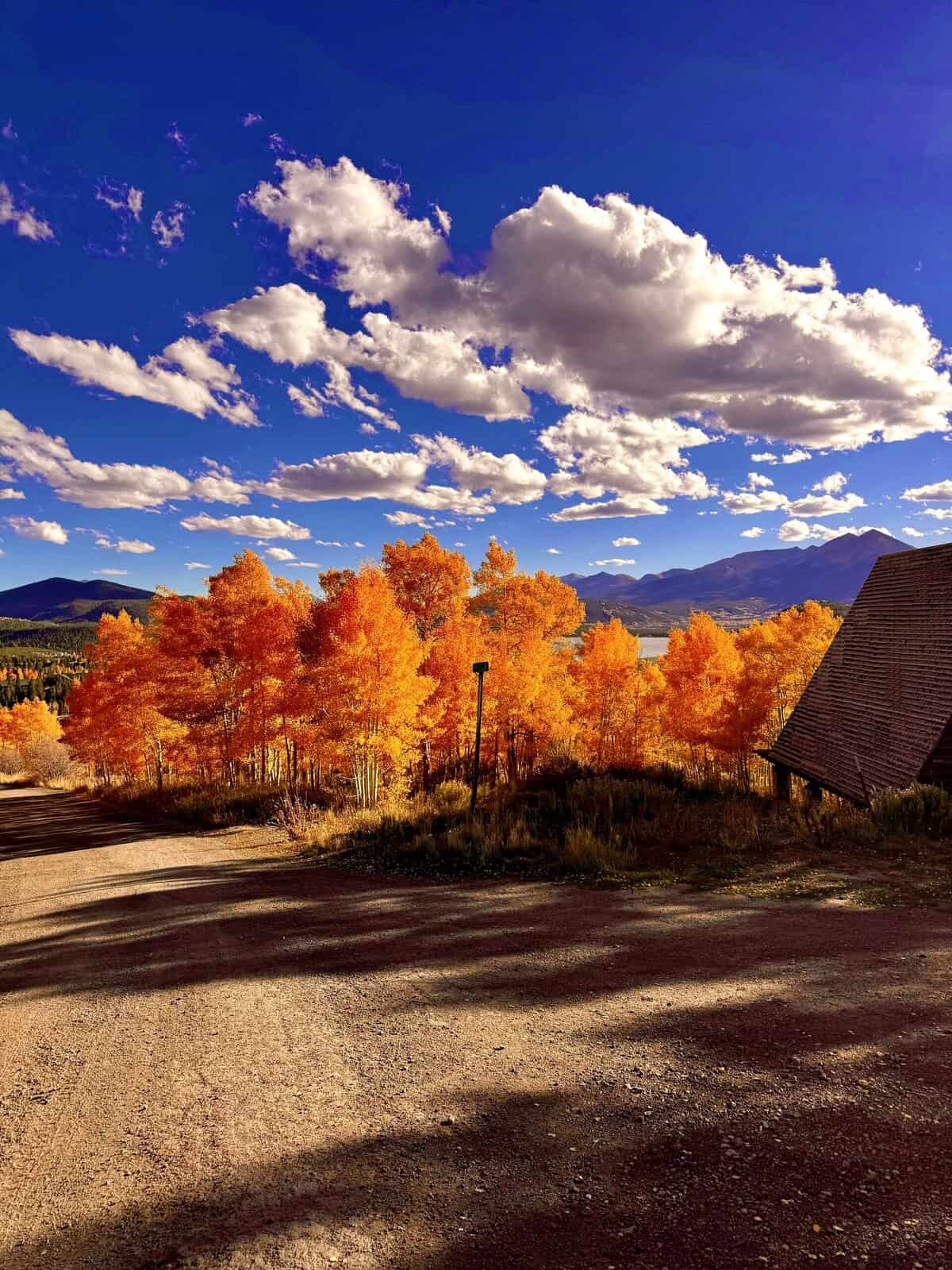 Nine Favorite Things | halfbakedharvest.com