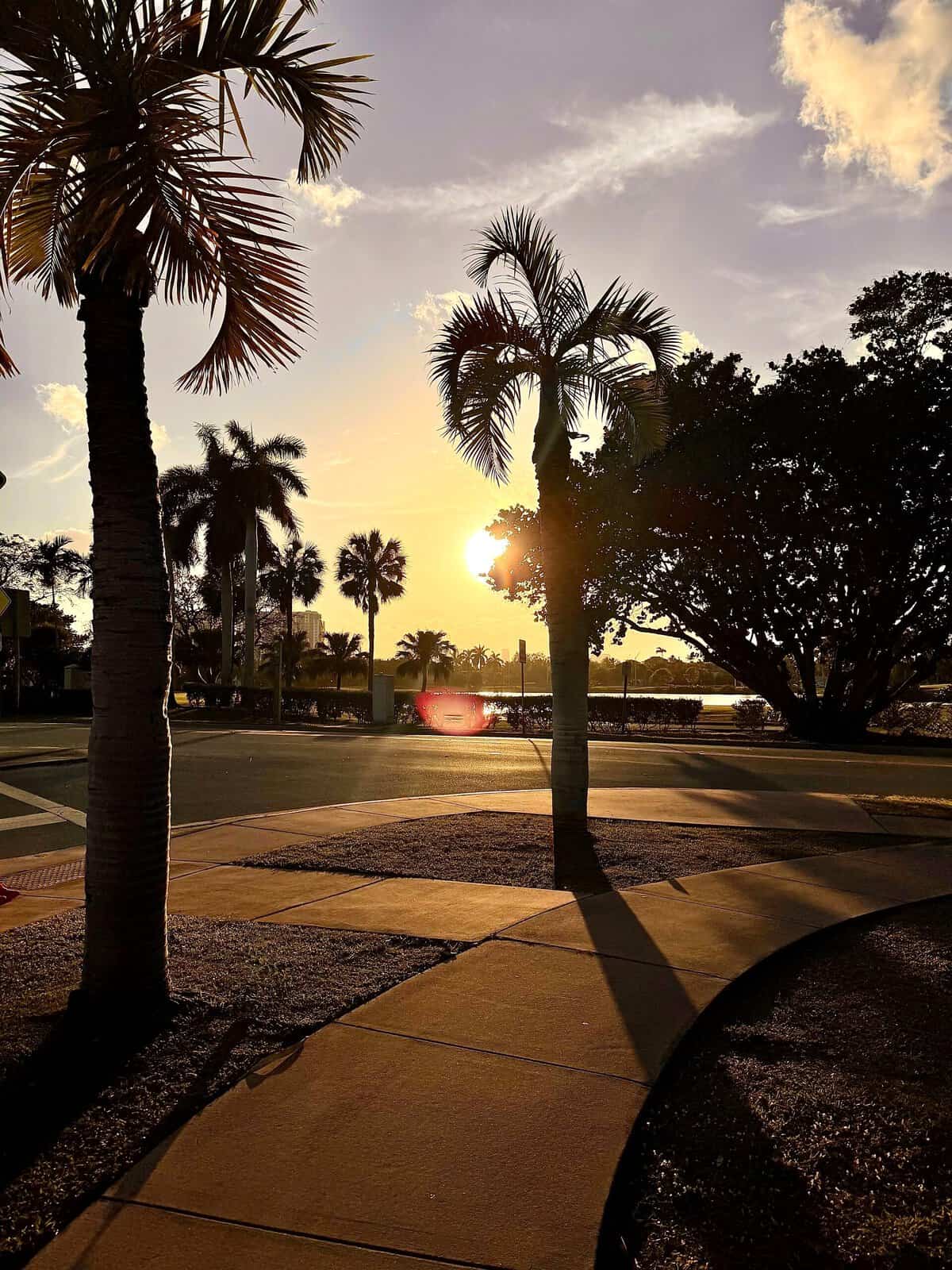 Nine Favorite Things | halfbakedharvest.com